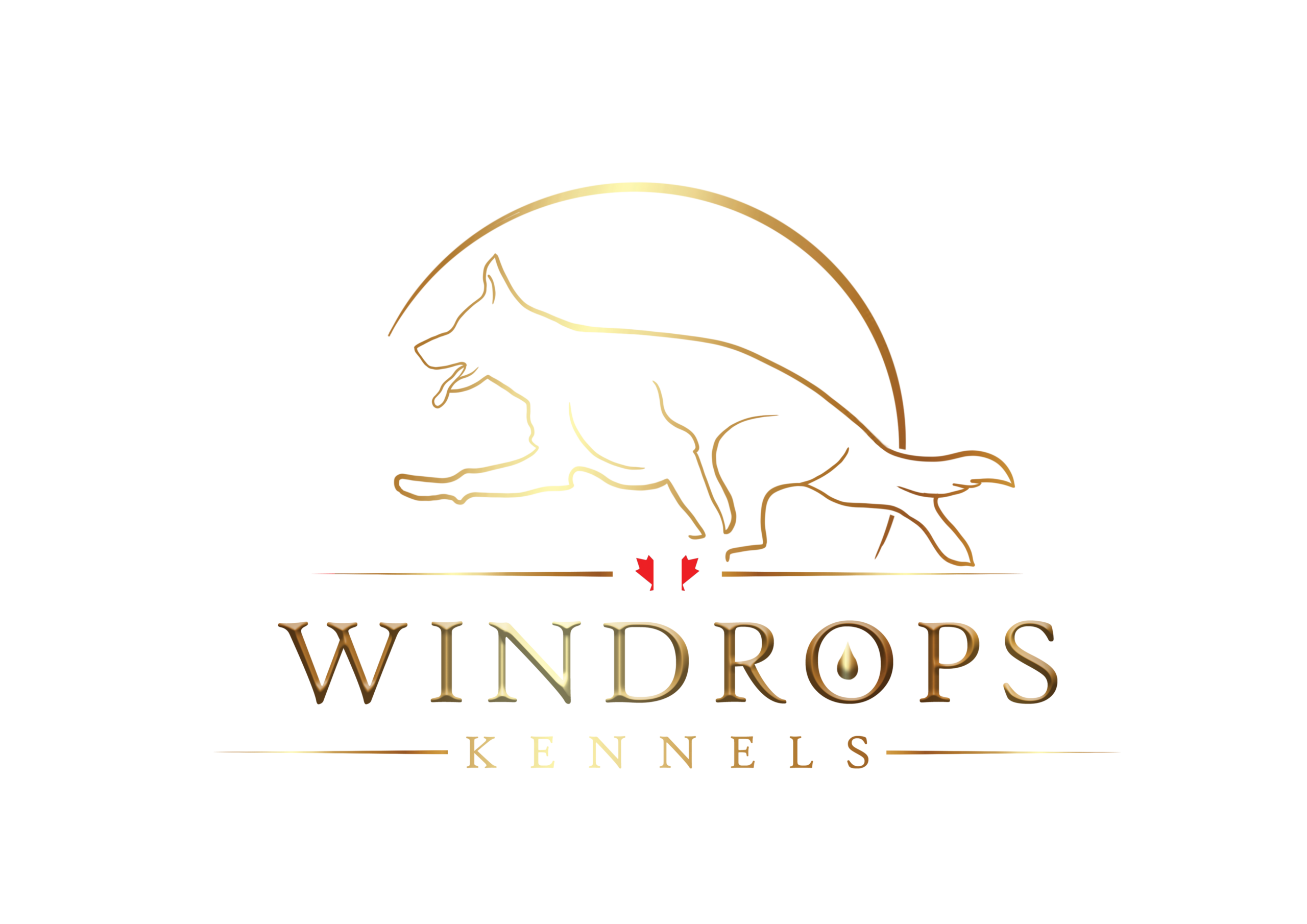 windropskennels.ca