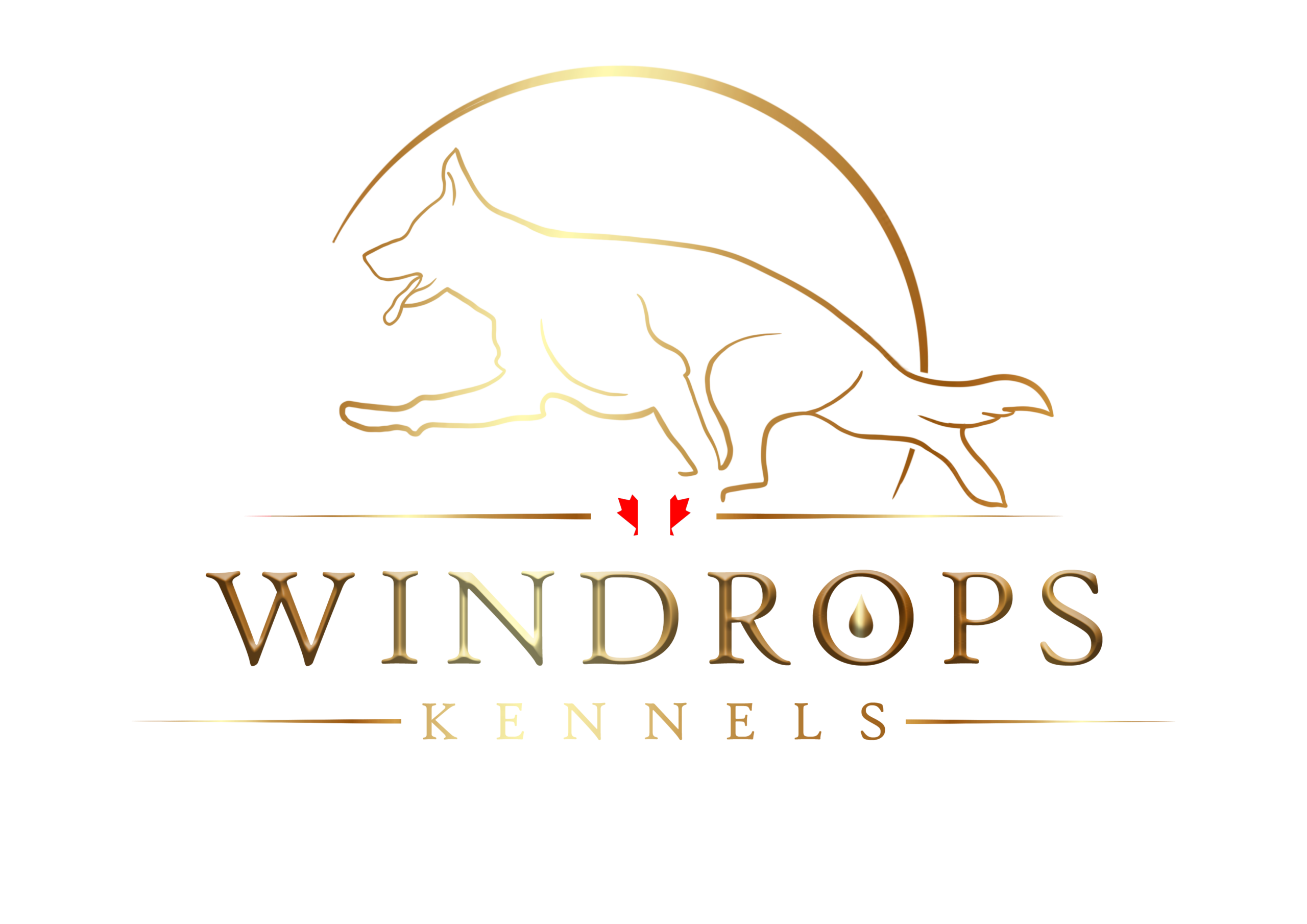 windropskennels.ca