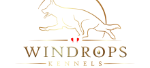 windrops out
